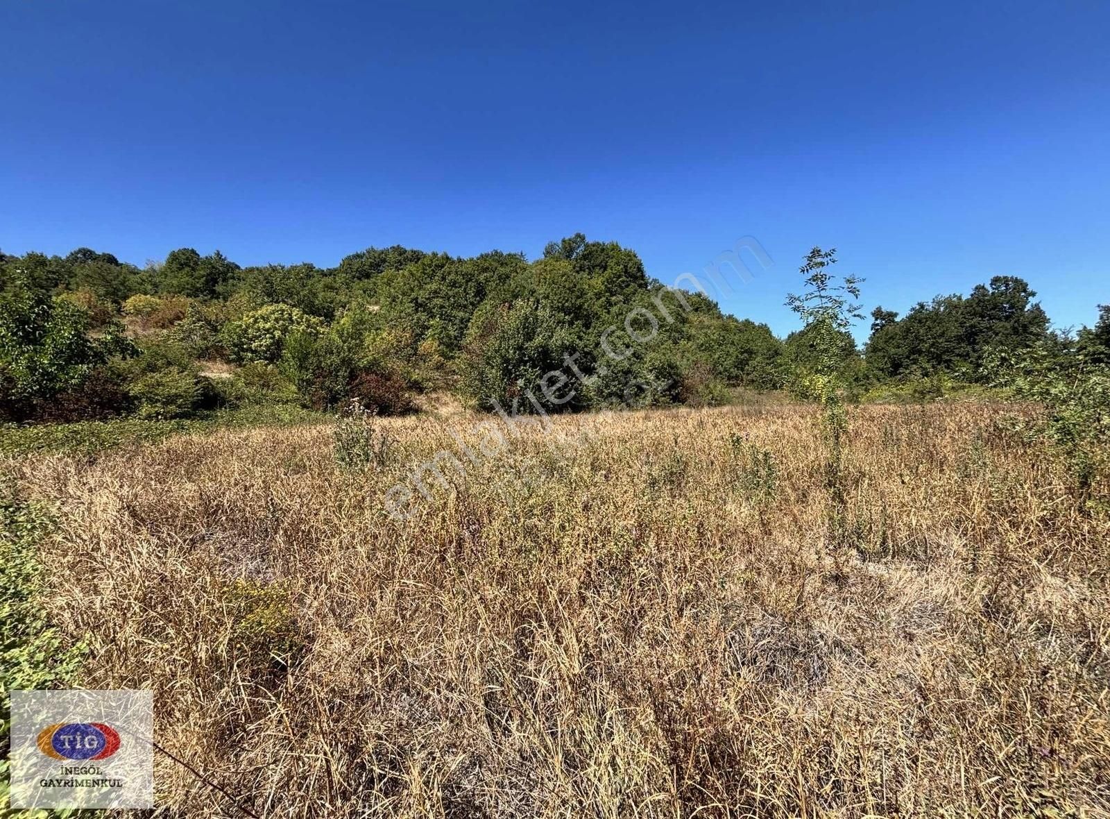 Tig'den Gündüzlü'de Satılık Tarla - Görsel 6