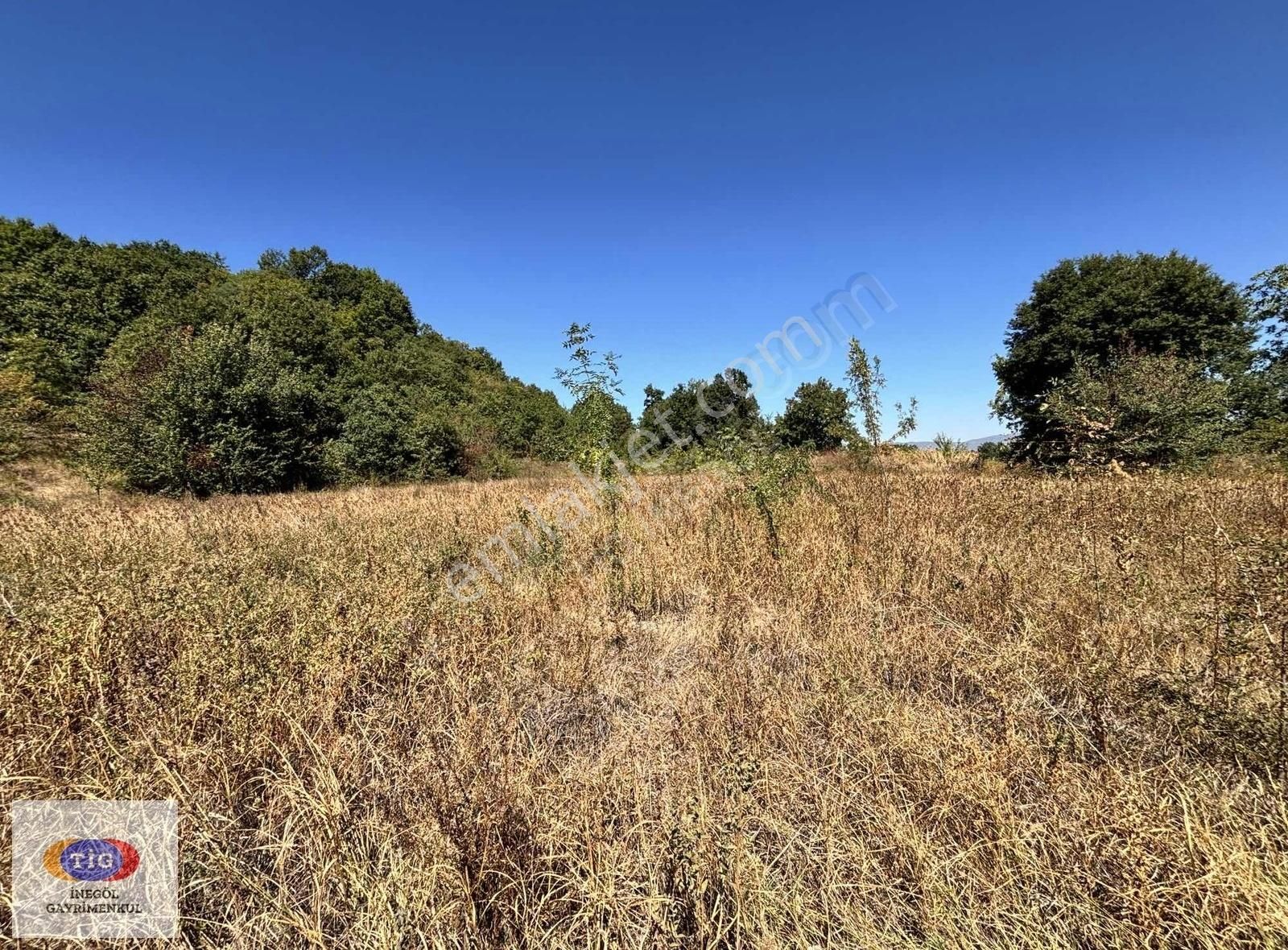 Tig'den Gündüzlü'de Satılık Tarla - Görsel 8