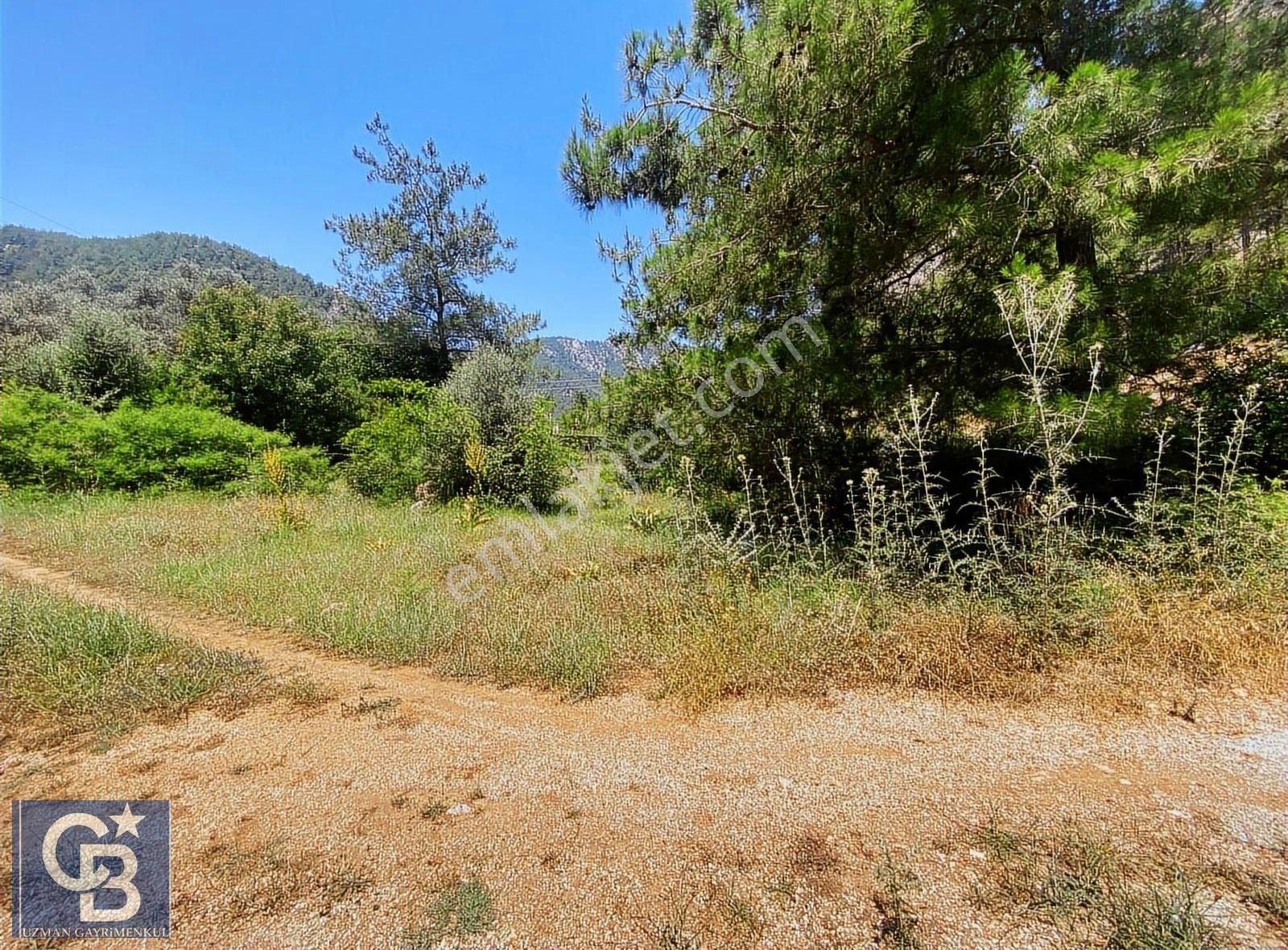 Marmaris Turgut Köyü Ana Yola Cepheli Satılık Tarla - Görsel 12