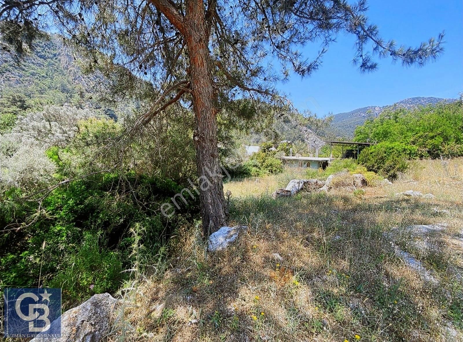 Marmaris Turgut Köyü Ana Yola Cepheli Satılık Tarla - Görsel 7