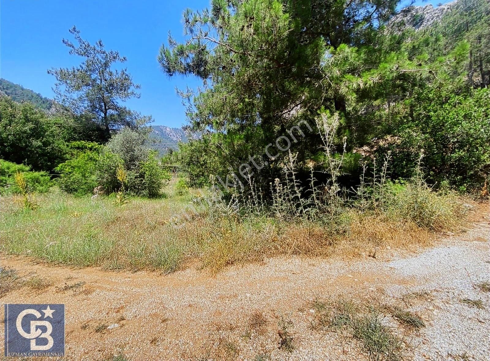 Marmaris Turgut Köyü Ana Yola Cepheli Satılık Tarla - Görsel 4