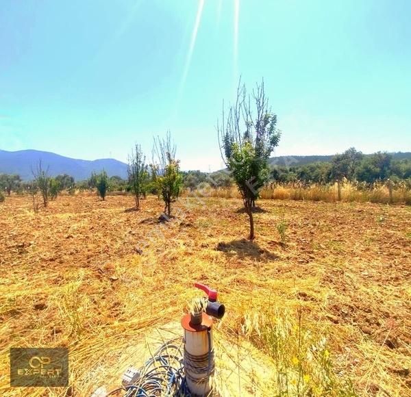 Selçuk Burgaz Da Satlık Arsa - Görsel 3