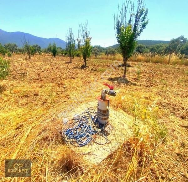 Selçuk Burgaz Da Satlık Arsa - Görsel 2