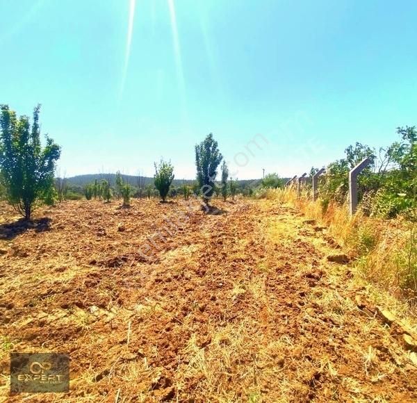 Selçuk Burgaz Da Satlık Arsa - Görsel 7