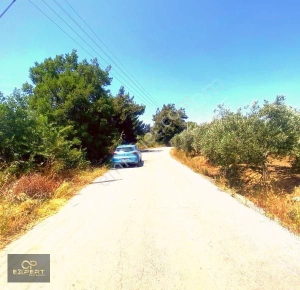 Selçuk Burgaz Da Satlık Arsa - Görsel 4