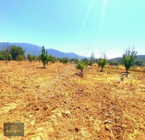 Selçuk Burgaz Da Satlık Arsa