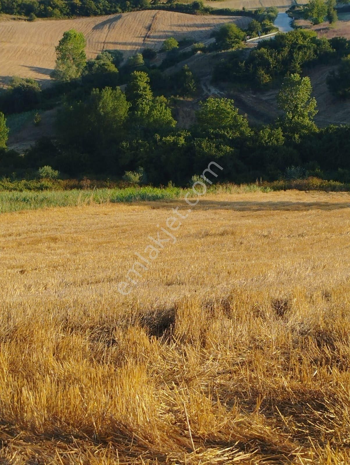Kocaeli Derince Karagöllü De 1955 M2 %5 İmarli Yolalacepeli Dir - Görsel 13