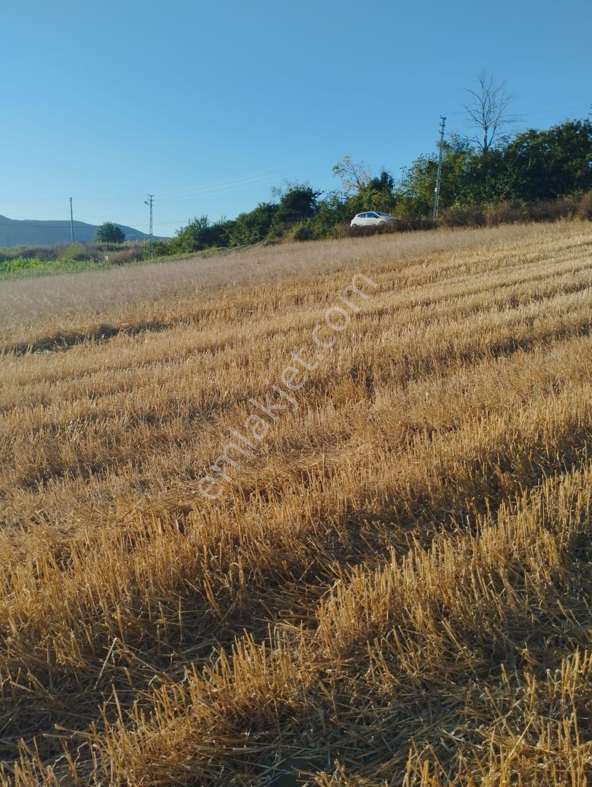 Kocaeli Derince Karagöllü De 1955 M2 %5 İmarli Yolalacepeli Dir - Görsel 5