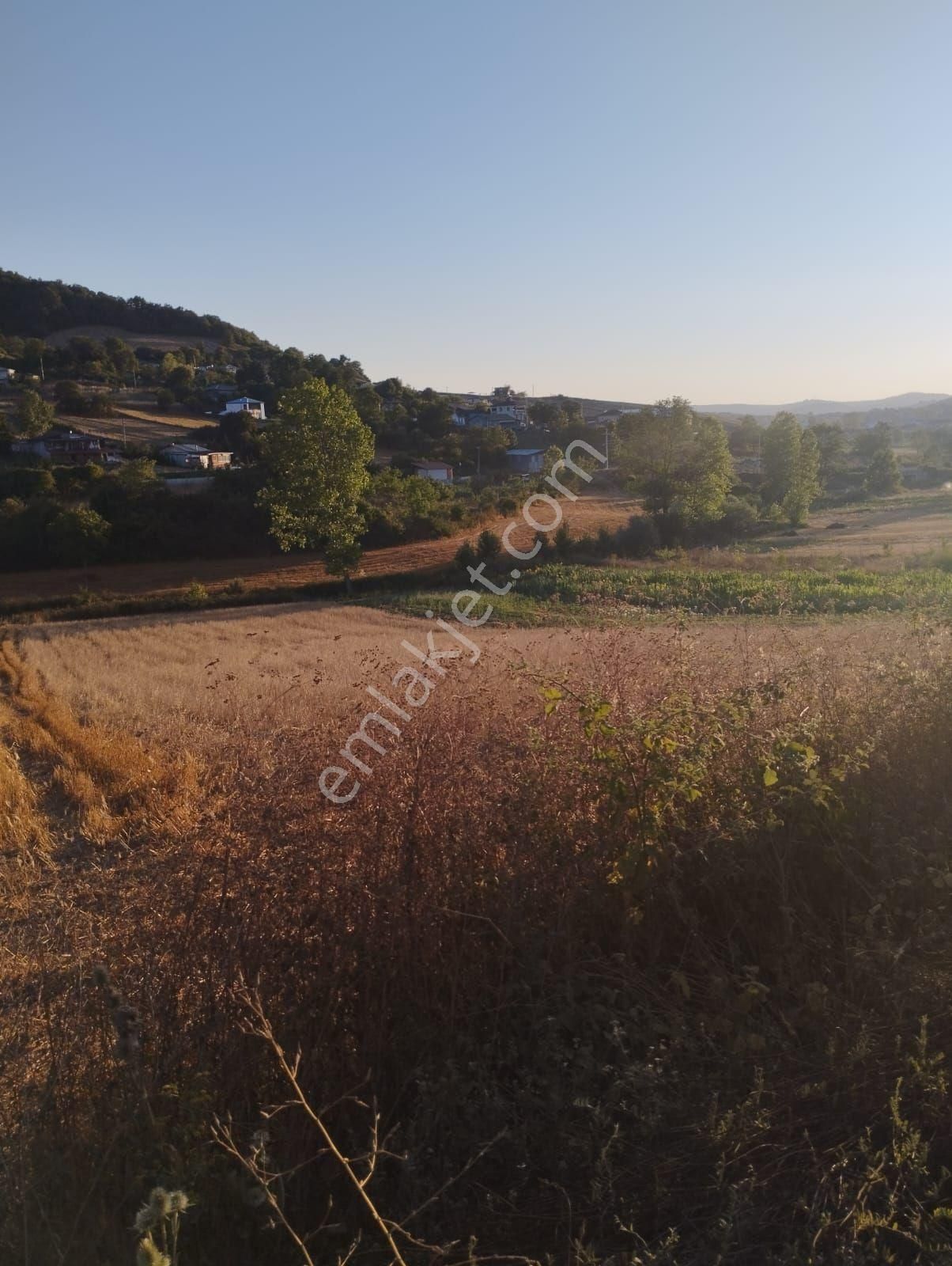 Kocaeli Derince Karagöllü De 1955 M2 %5 İmarli Yolalacepeli Dir - Görsel 17