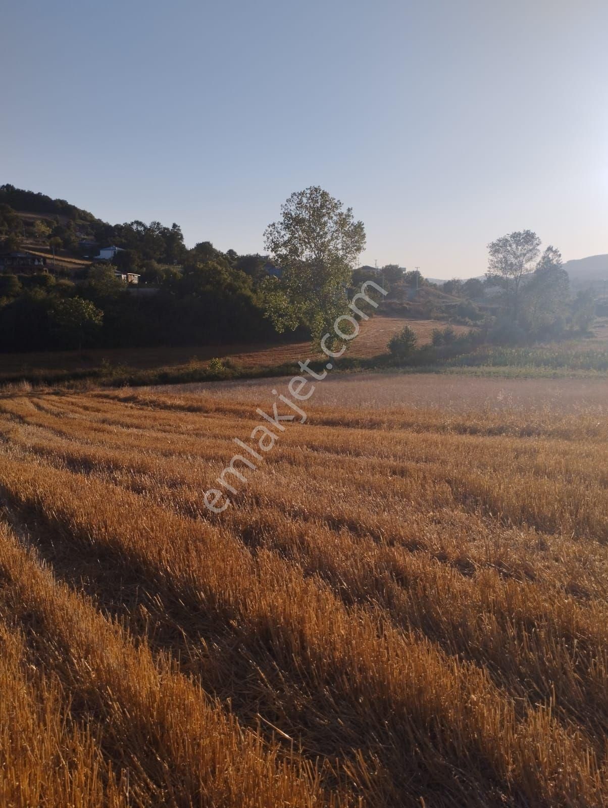 Kocaeli Derince Karagöllü De 1955 M2 %5 İmarli Yolalacepeli Dir - Görsel 2