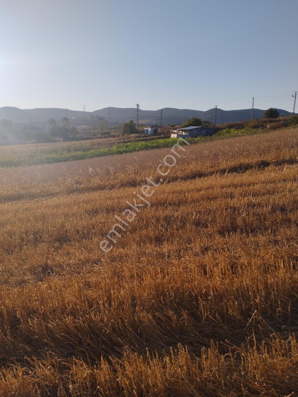 Kocaeli Derince Karagöllü De 1955 M2 %5 İmarli Yolalacepeli Dir - Görsel 4