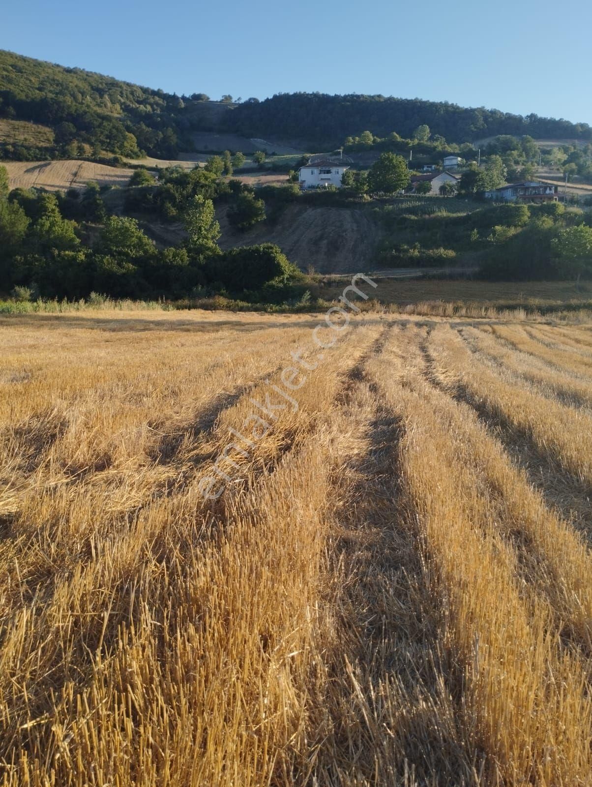 Kocaeli Derince Karagöllü De 1955 M2 %5 İmarli Yolalacepeli Dir - Görsel 6