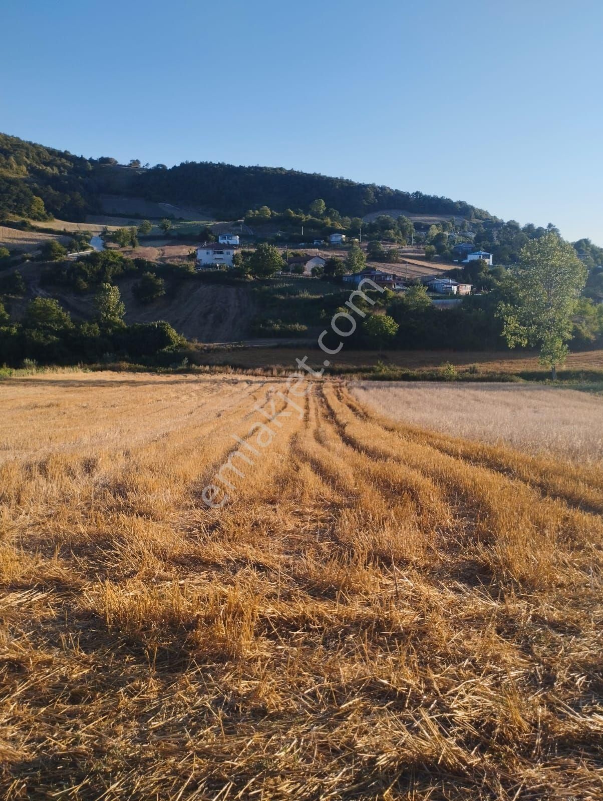 Kocaeli Derince Karagöllü De 1955 M2 %5 İmarli Yolalacepeli Dir - Görsel 9