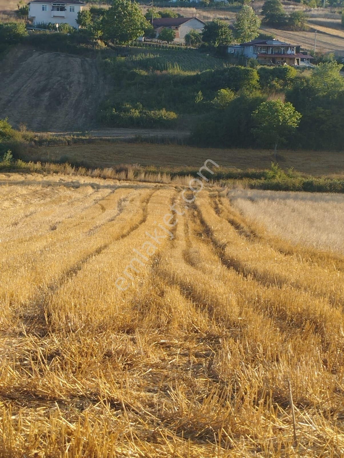 Kocaeli Derince Karagöllü De 1955 M2 %5 İmarli Yolalacepeli Dir - Görsel 11