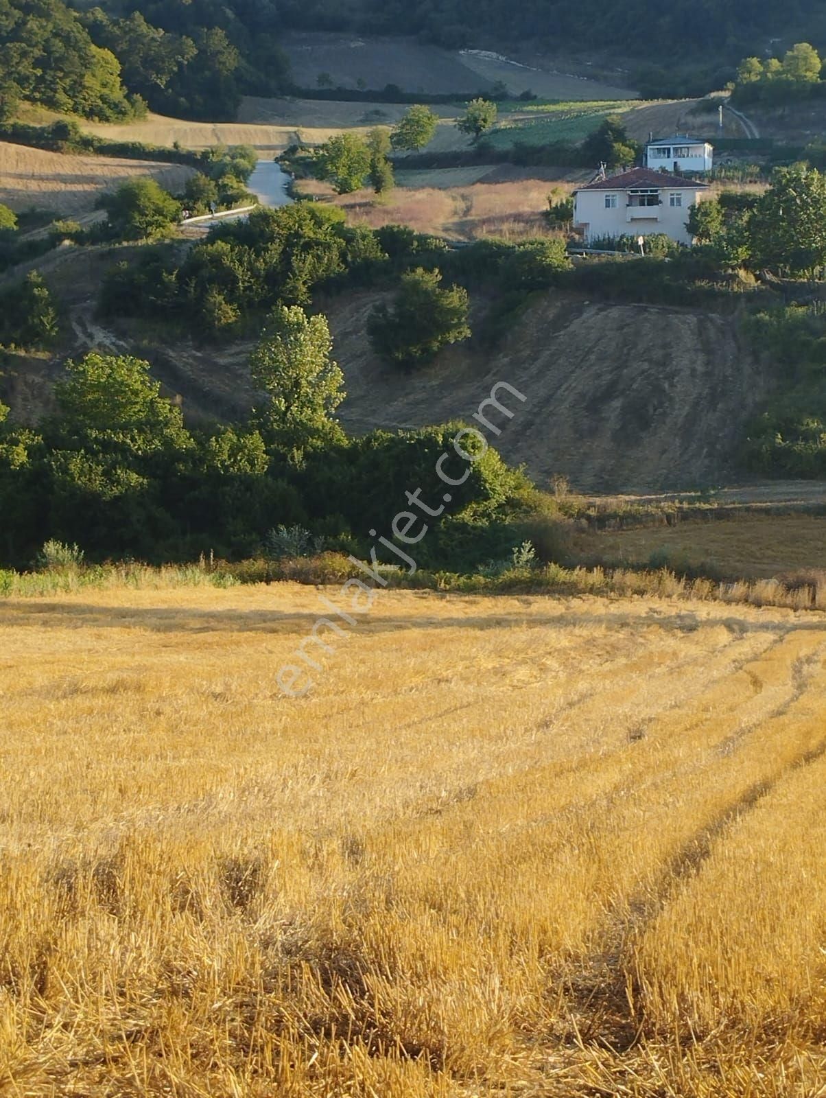 Kocaeli Derince Karagöllü De 1955 M2 %5 İmarli Yolalacepeli Dir - Görsel 12