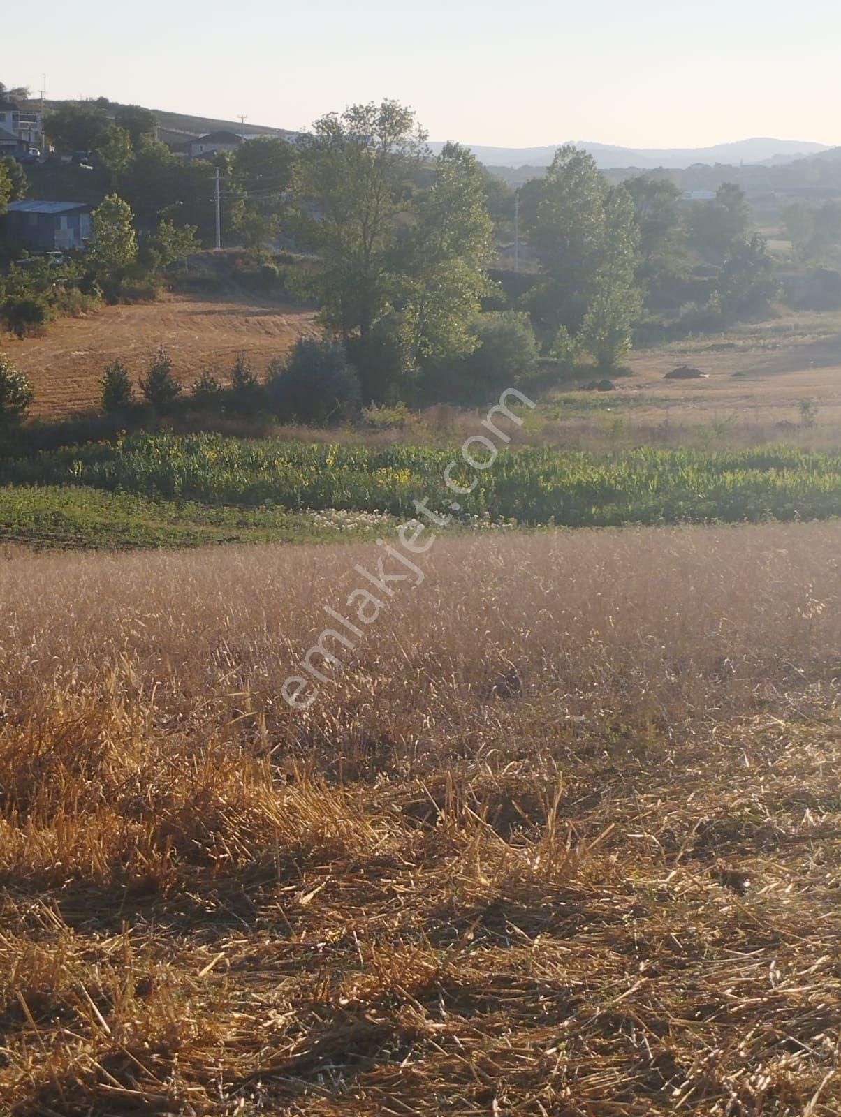 Kocaeli Derince Karagöllü De 1955 M2 %5 İmarli Yolalacepeli Dir - Görsel 10
