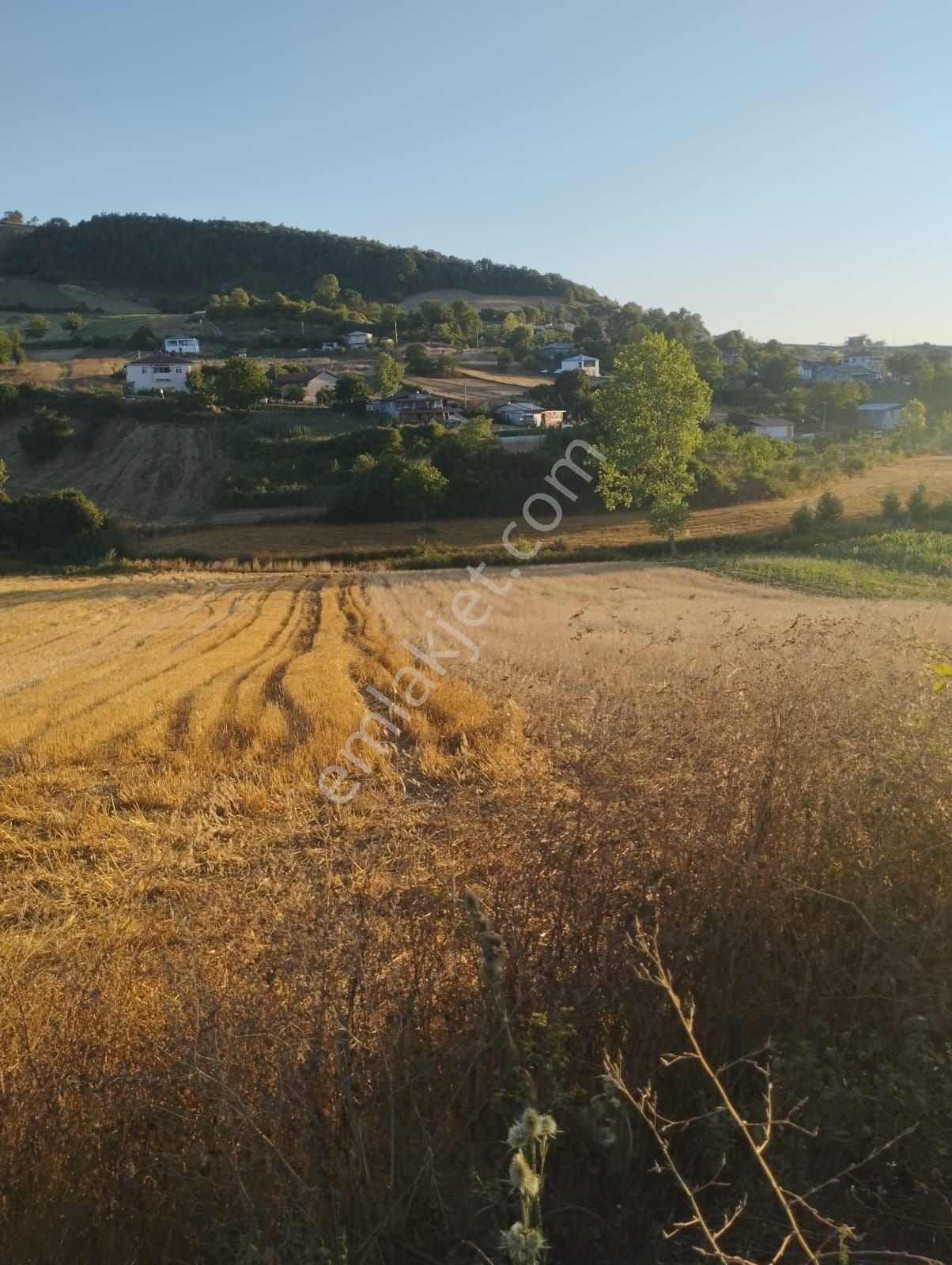 Kocaeli Derince Karagöllü De 1955 M2 %5 İmarli Yolalacepeli Dir - Görsel 14