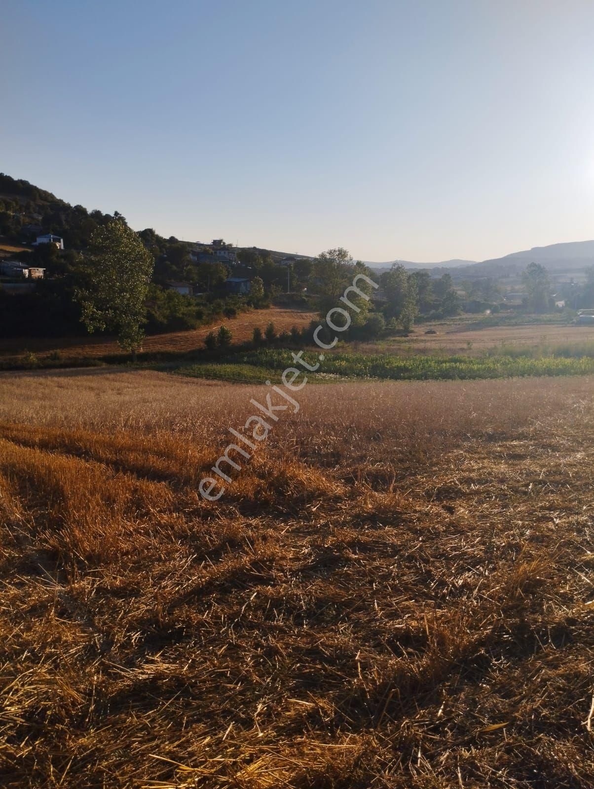 Kocaeli Derince Karagöllü De 1955 M2 %5 İmarli Yolalacepeli Dir - Görsel 8