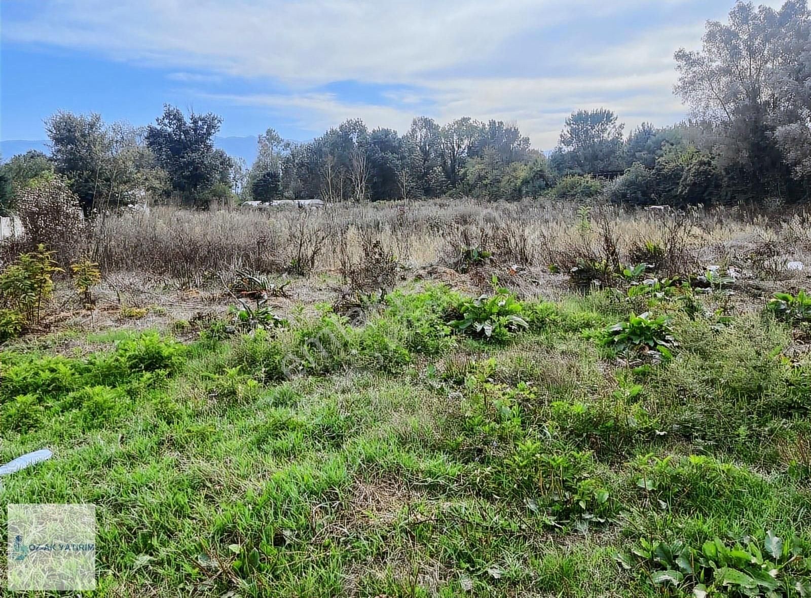 Öz-ak Tan Darıcıda Köşe Konumda Ruhsatı Alınmış 2671 M2 Arsa - Görsel 2