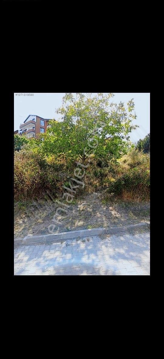 Gözlemen Tepe , Şehitler Mah.satılık Arsa - Görsel 3