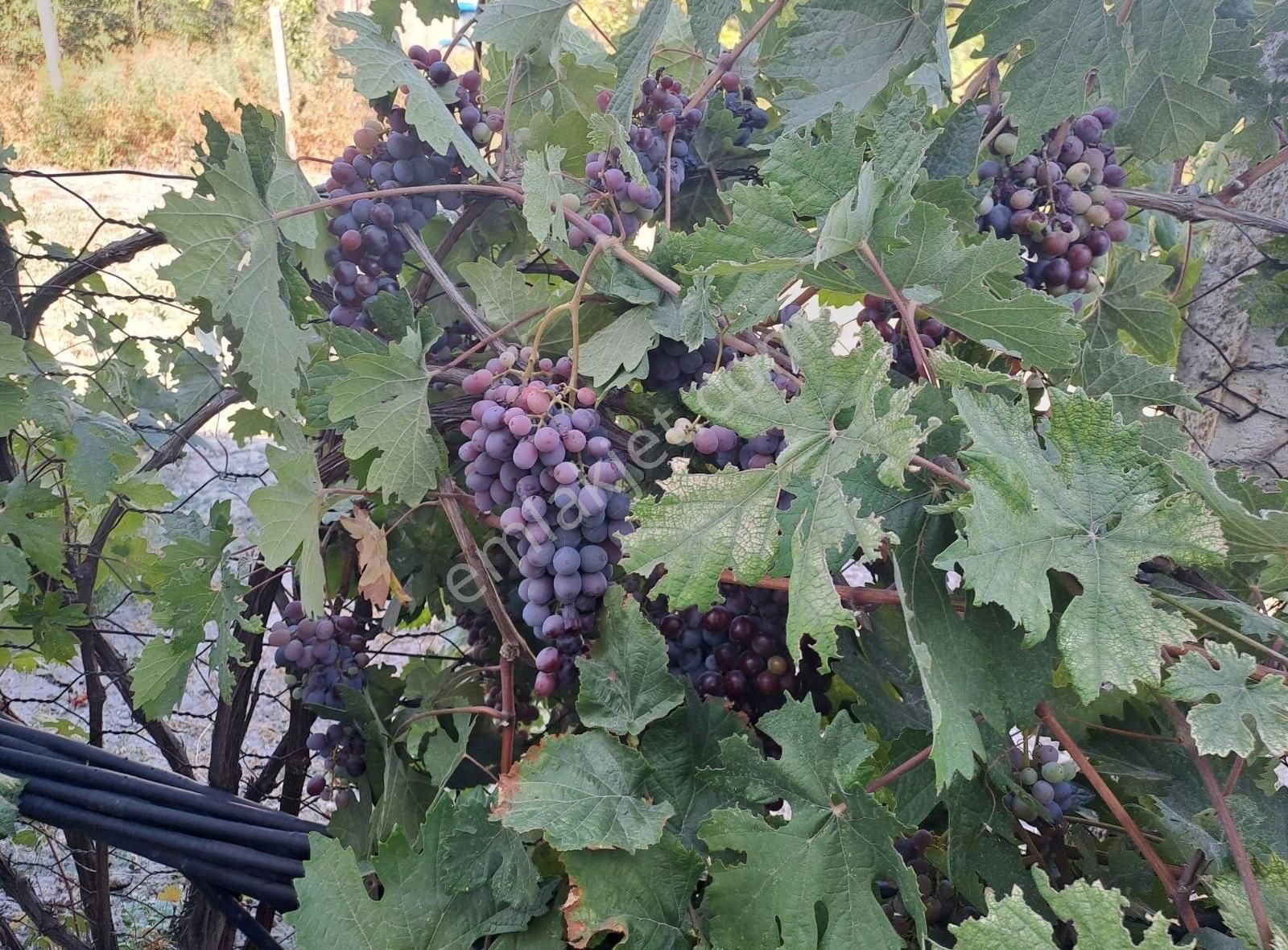 Konya Seydişehir Boyalı Mah. Müstakil Ev İki Katlı 3+1 Daire - Görsel 20