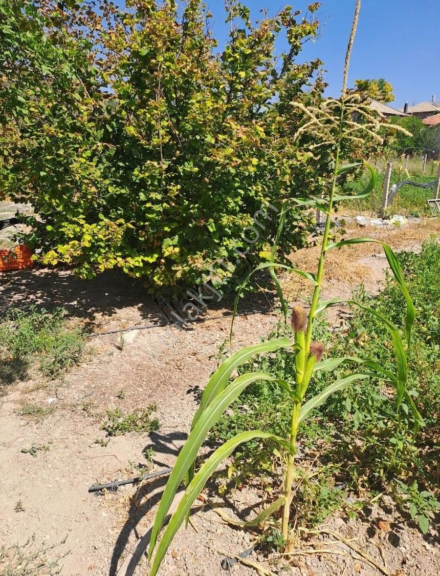 Konya Seydişehir Boyalı Mah. Müstakil Ev İki Katlı 3+1 Daire - Görsel 23