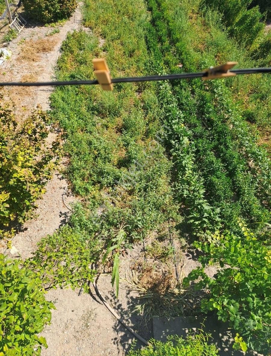 Konya Seydişehir Boyalı Mah. Müstakil Ev İki Katlı 3+1 Daire - Görsel 24