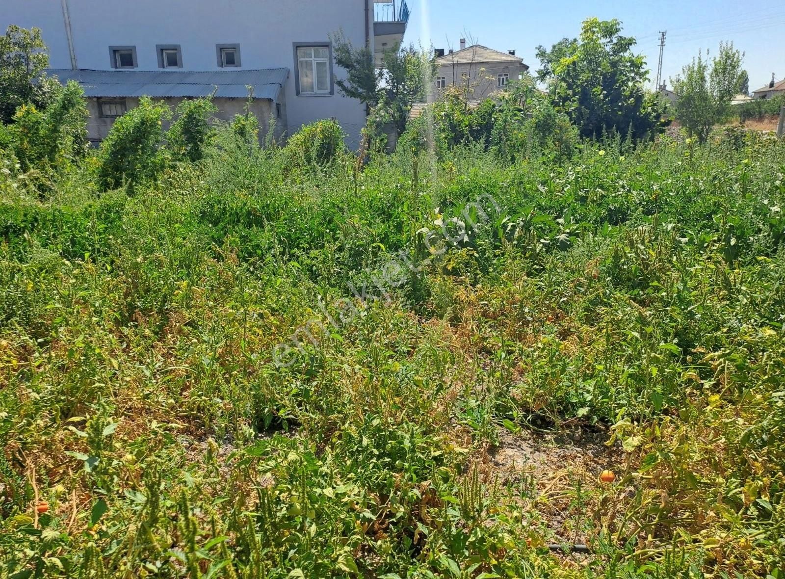 Konya Seydişehir Boyalı Mah. Müstakil Ev İki Katlı 3+1 Daire - Görsel 11