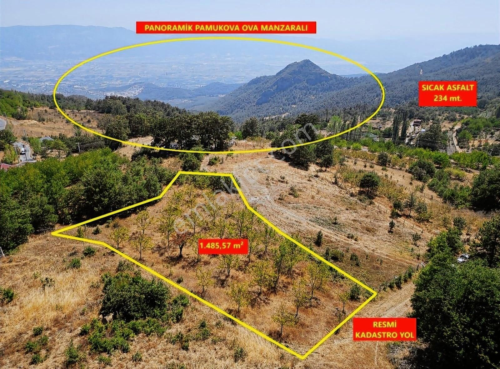 Pamukova Kadıköy Mahallesi'nde Yatırımlık Ceviz Bahçesi