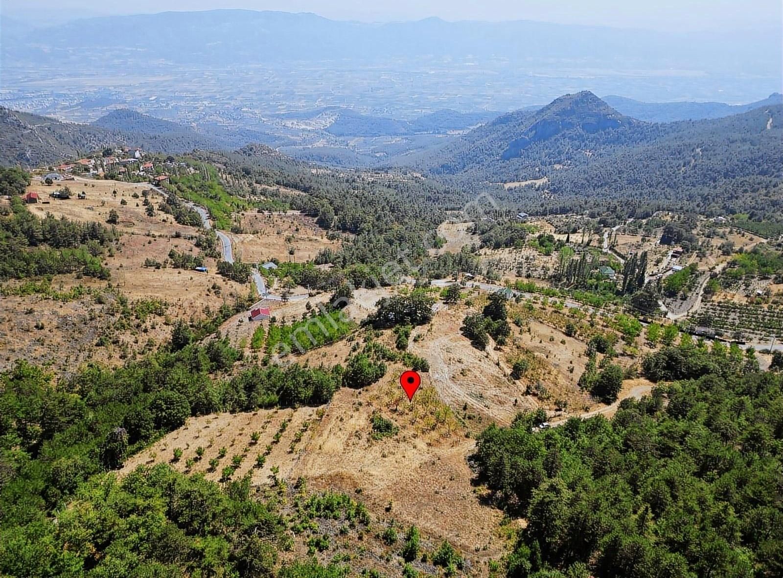 Pamukova Kadıköy Mahallesi'nde Yatırımlık Ceviz Bahçesi - Görsel 3