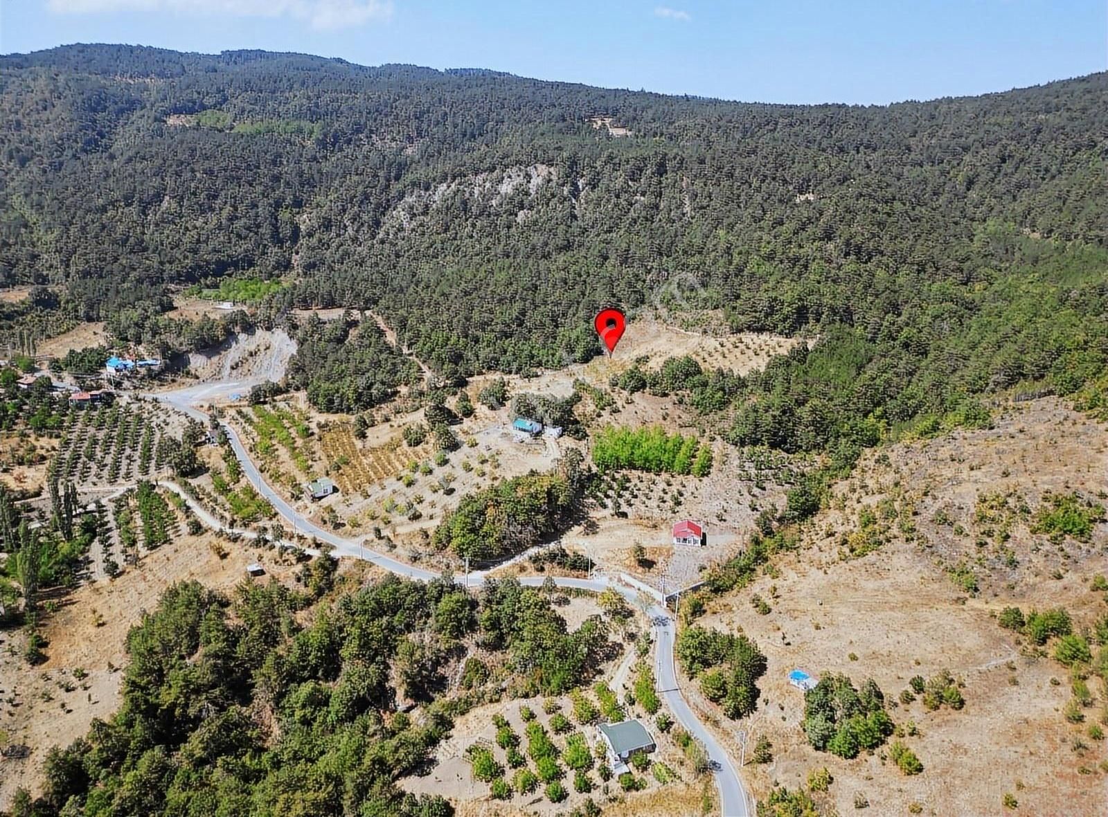 Pamukova Kadıköy Mahallesi'nde Yatırımlık Ceviz Bahçesi - Görsel 26