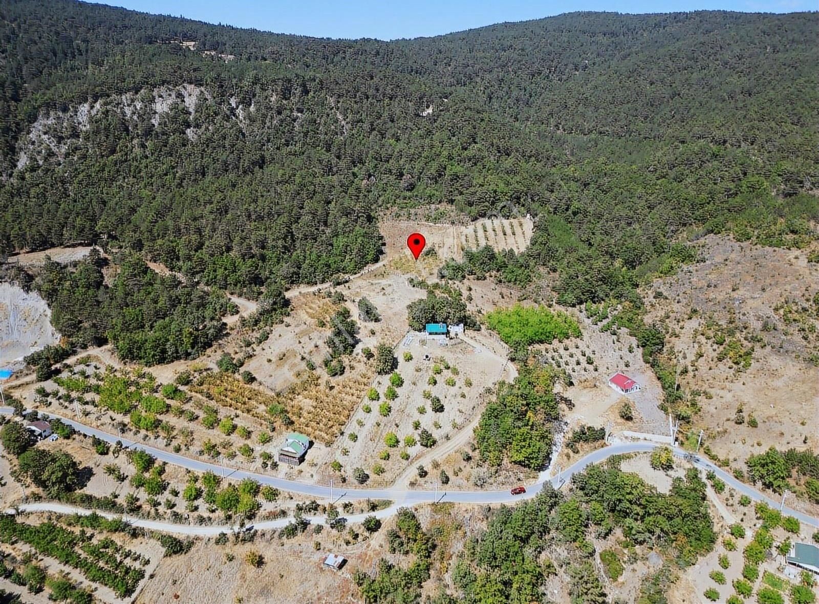 Pamukova Kadıköy Mahallesi'nde Yatırımlık Ceviz Bahçesi - Görsel 22