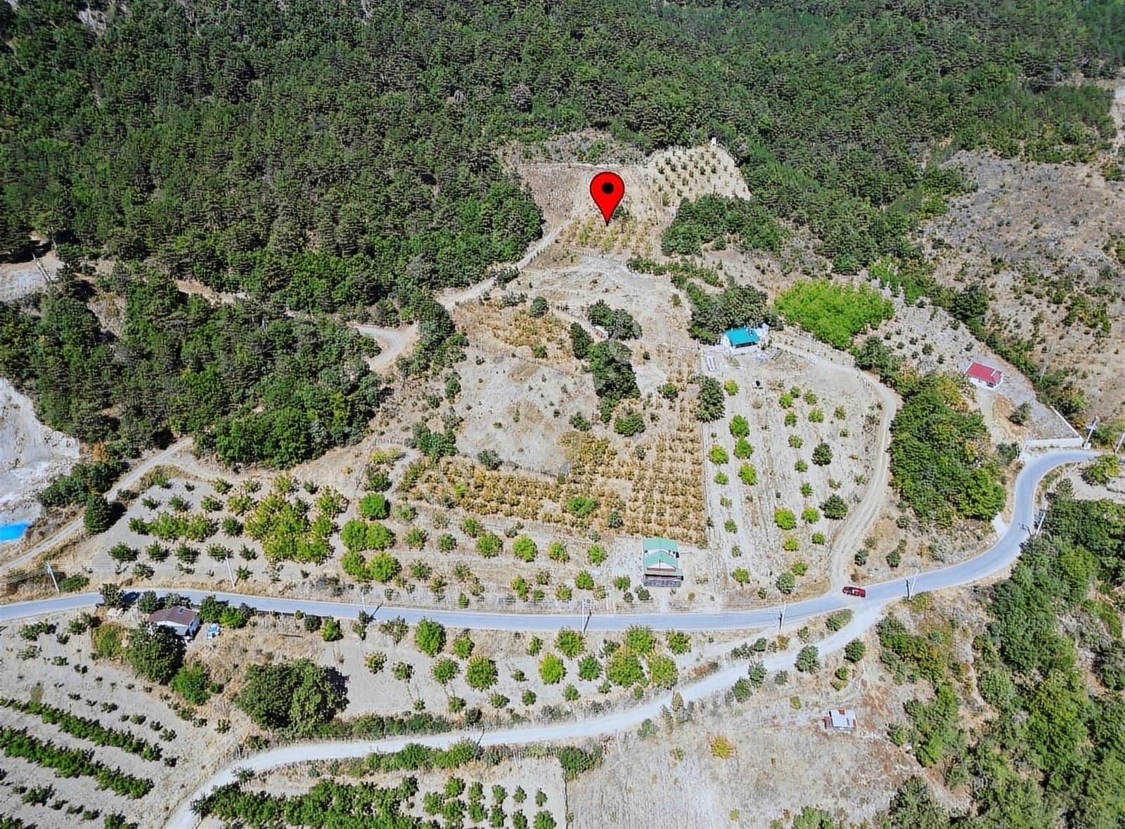 Pamukova Kadıköy Mahallesi'nde Yatırımlık Ceviz Bahçesi - Görsel 4