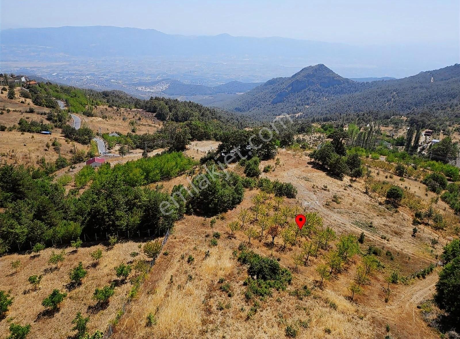 Pamukova Kadıköy Mahallesi'nde Yatırımlık Ceviz Bahçesi - Görsel 18