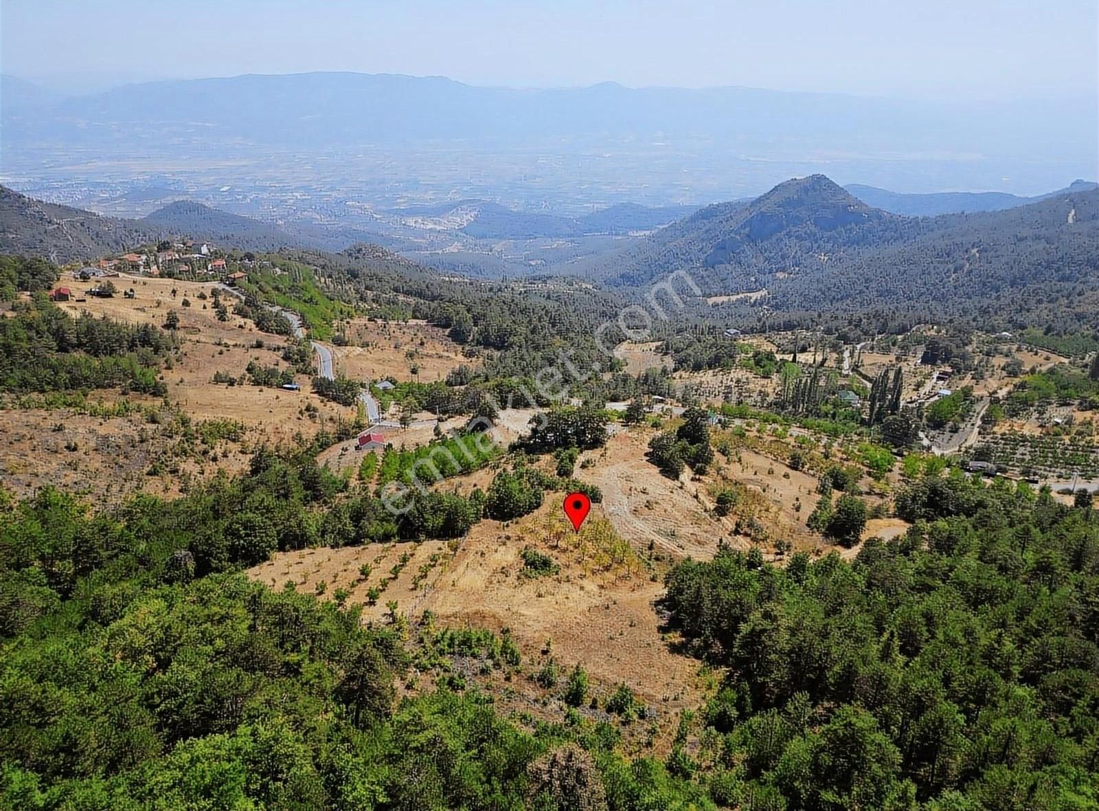 Pamukova Kadıköy Mahallesi'nde Yatırımlık Ceviz Bahçesi - Görsel 10