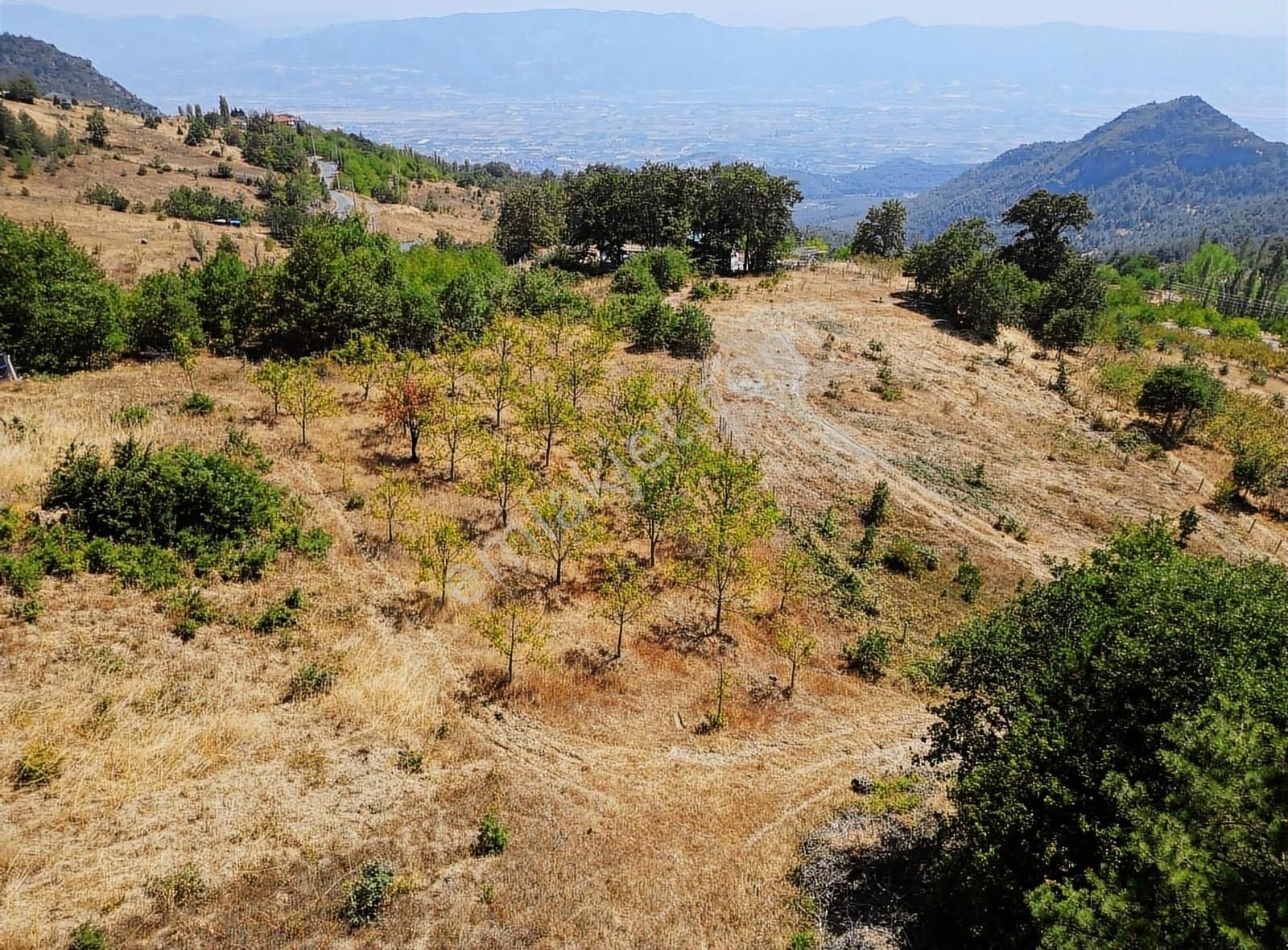 Pamukova Kadıköy Mahallesi'nde Yatırımlık Ceviz Bahçesi - Görsel 24