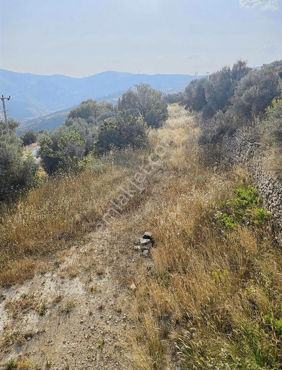 Tilkiler Köyünde 365 Metre Köy İçi Arsası Satılıktır - Görsel 3