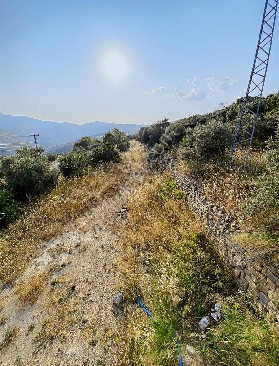 Tilkiler Köyünde 365 Metre Köy İçi Arsası Satılıktır - Görsel 4