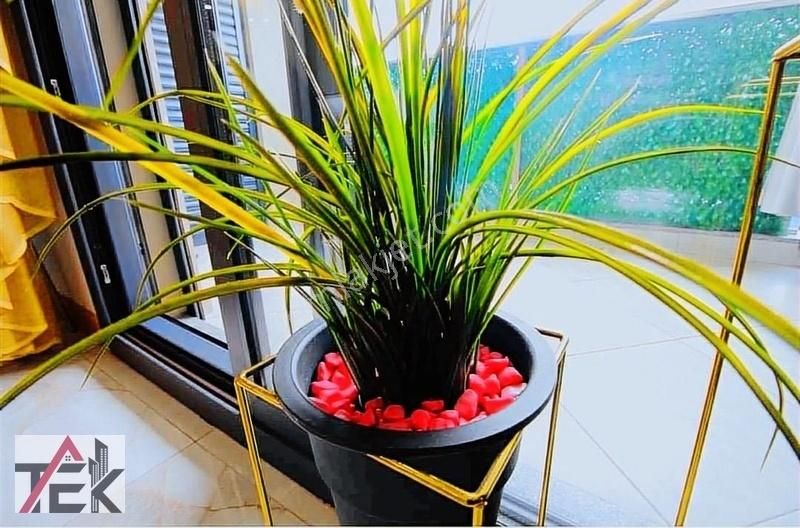 Medikal Point'in Karşısında Muhteşem Teraslı Dubleks 4+1 - Görsel 18