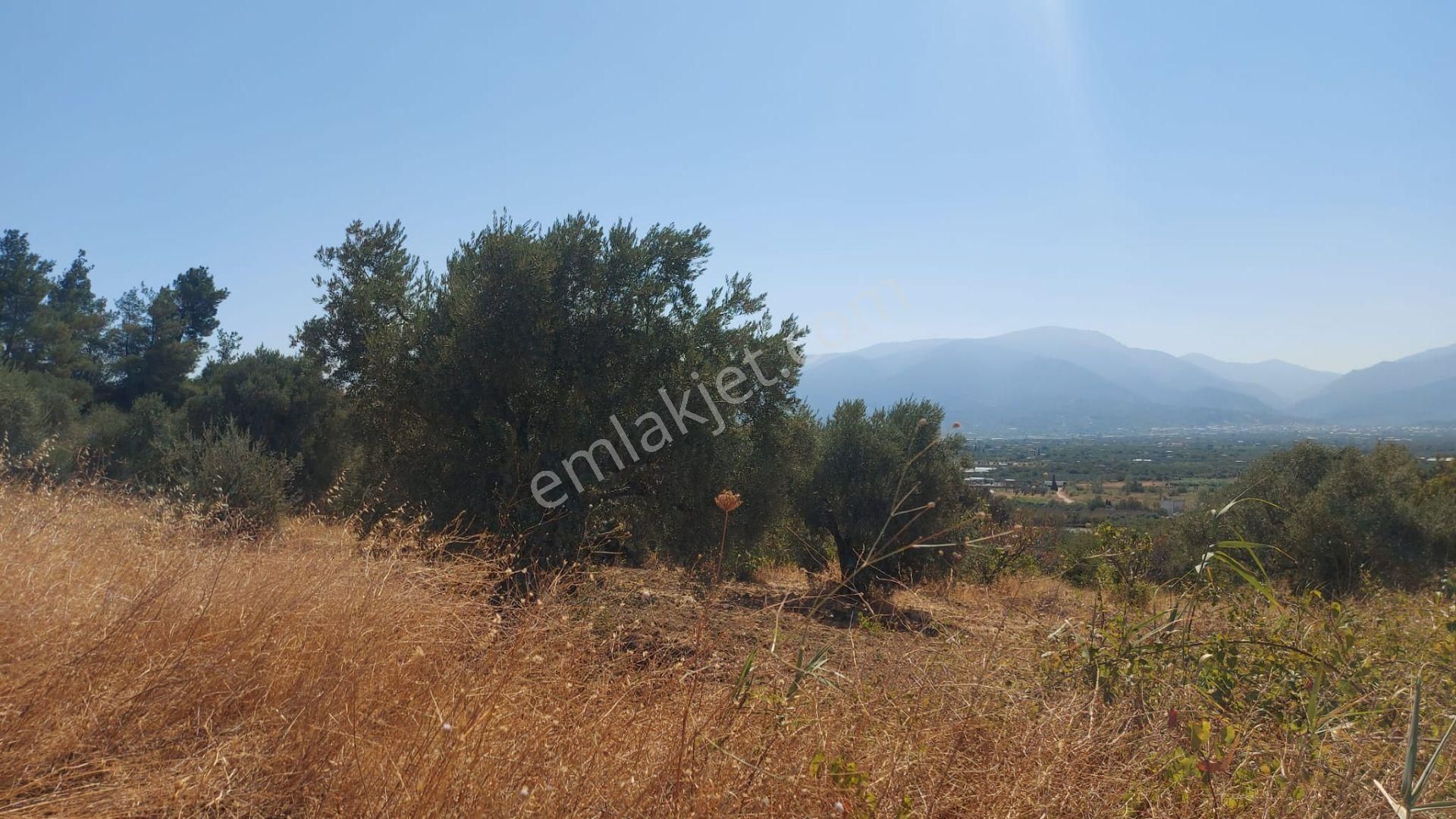 Kemalpaşa Çambel'de Yola Yakın Manz. Yatırımlık Satılık Arazi - Görsel 9