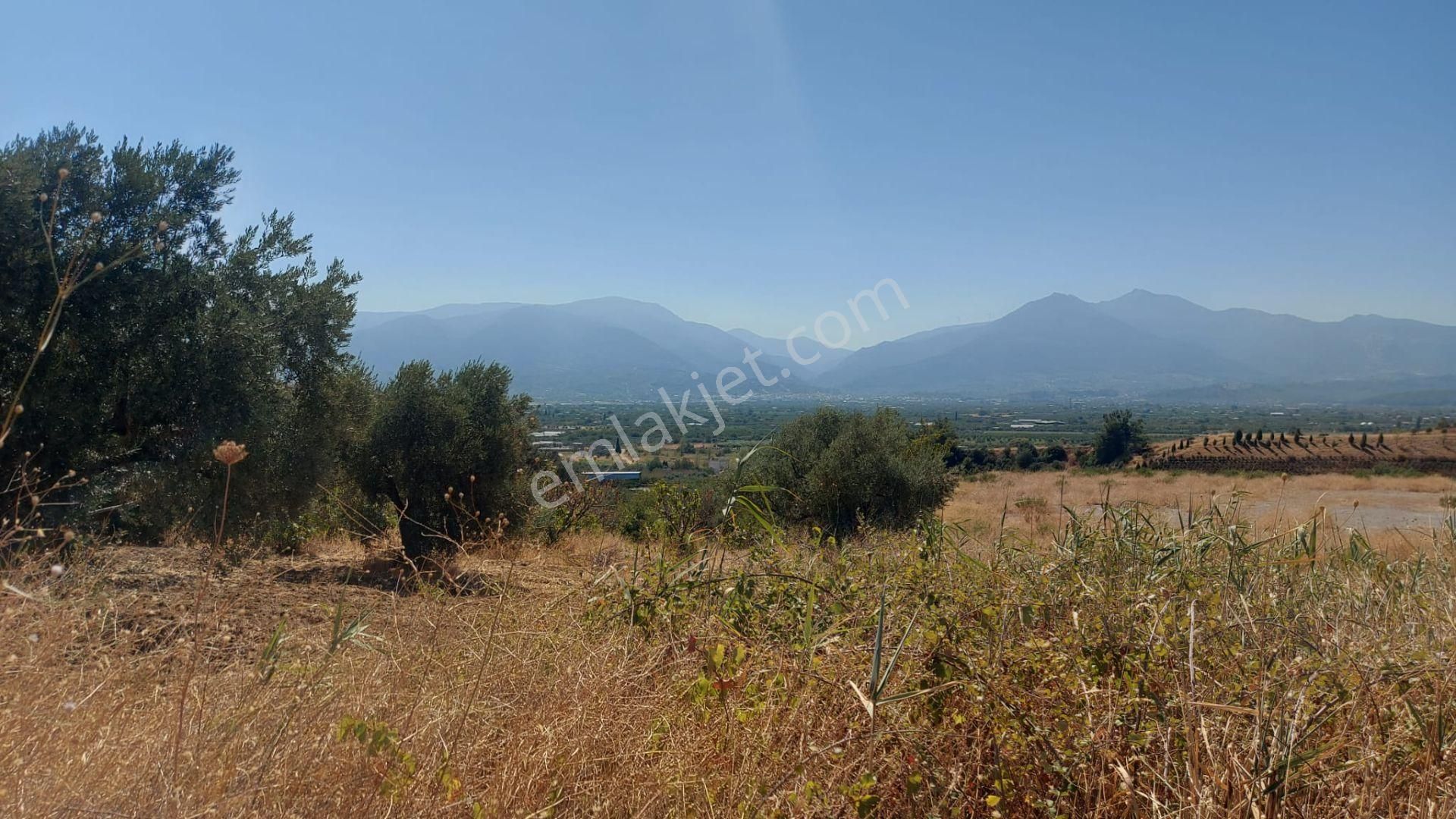 Kemalpaşa Çambel'de Yola Yakın Manz. Yatırımlık Satılık Arazi - Görsel 8