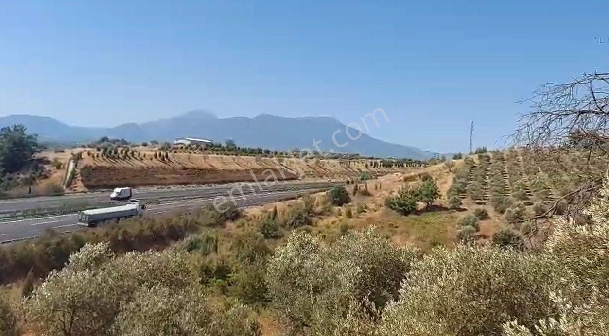 Kemalpaşa Çambel'de Yola Yakın Manz. Yatırımlık Satılık Arazi