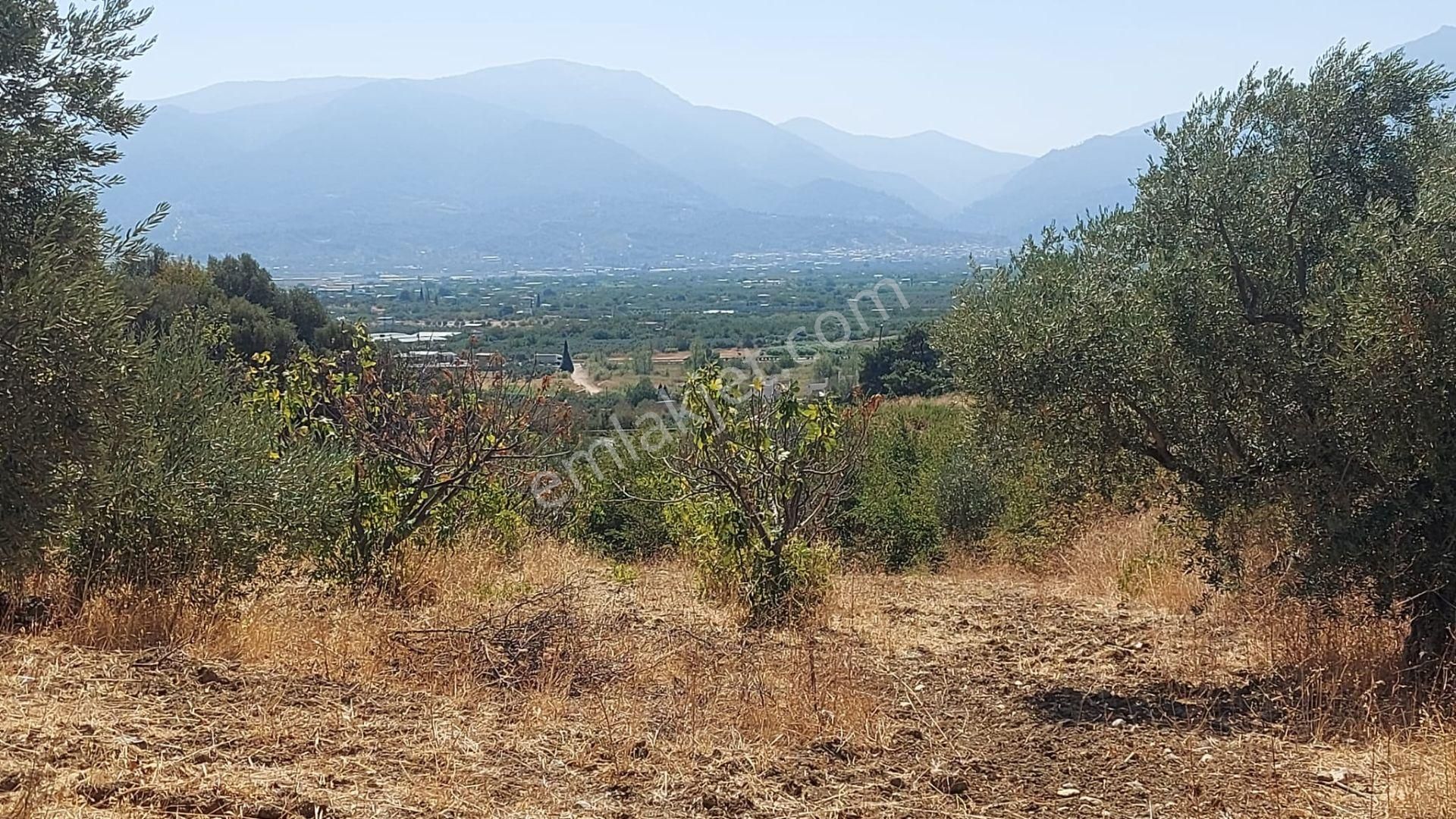 Kemalpaşa Çambel'de Yola Yakın Manz. Yatırımlık Satılık Arazi - Görsel 6