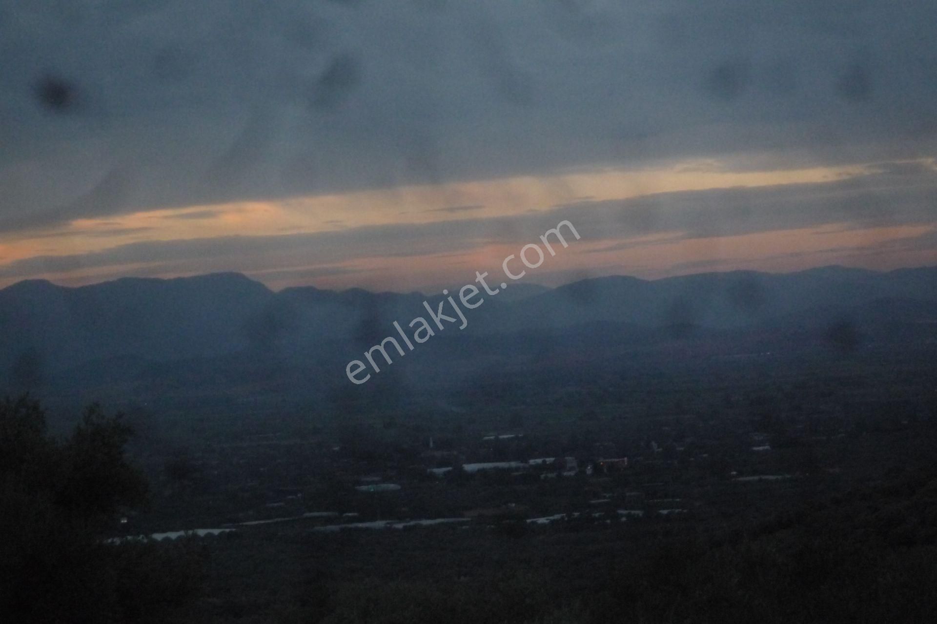 İzmir Torbalı Gold Emlaktan Satılık Zeytinlik - Görsel 16