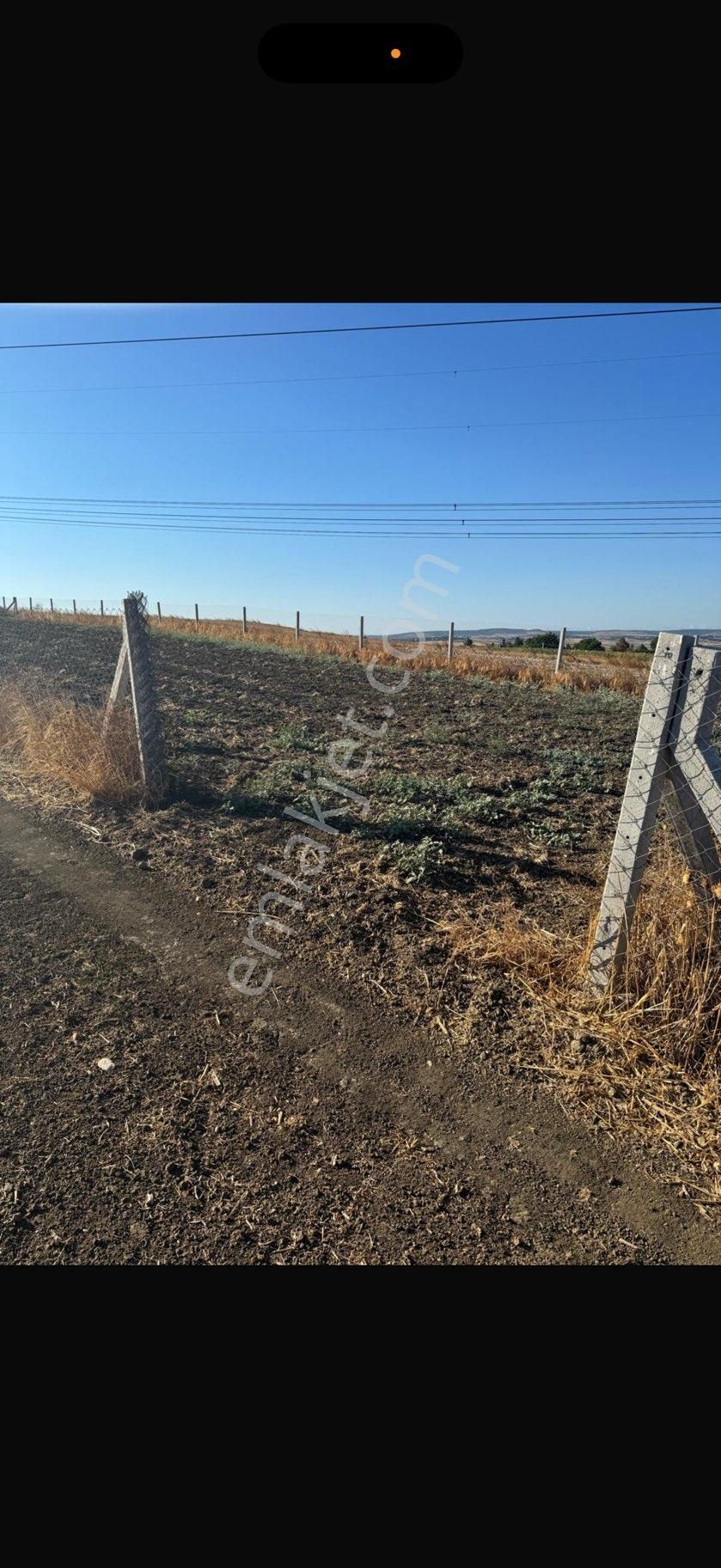 Ceza Evi Lojmanlarına Komşu Tarla - Görsel 6