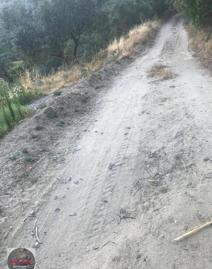 Aycan Gayrimenkulden Erdek Ocaklarda Satılık 4 Dönüm Zeytinlik - Görsel 8