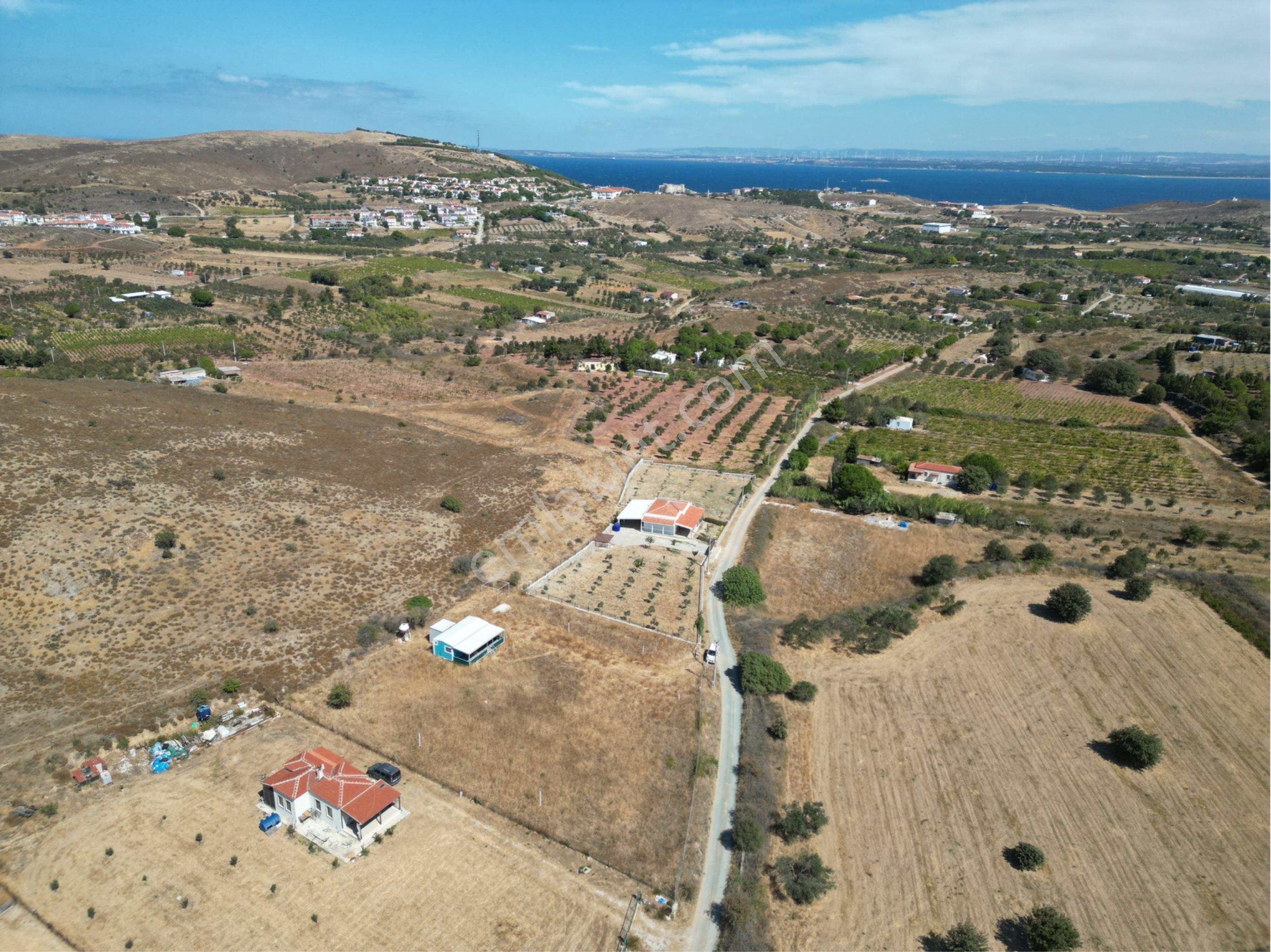 Güçlü Kardeşler Bozcaada'da 2.450 M2 Bag İçinde Yapı Mevcut - Görsel 14