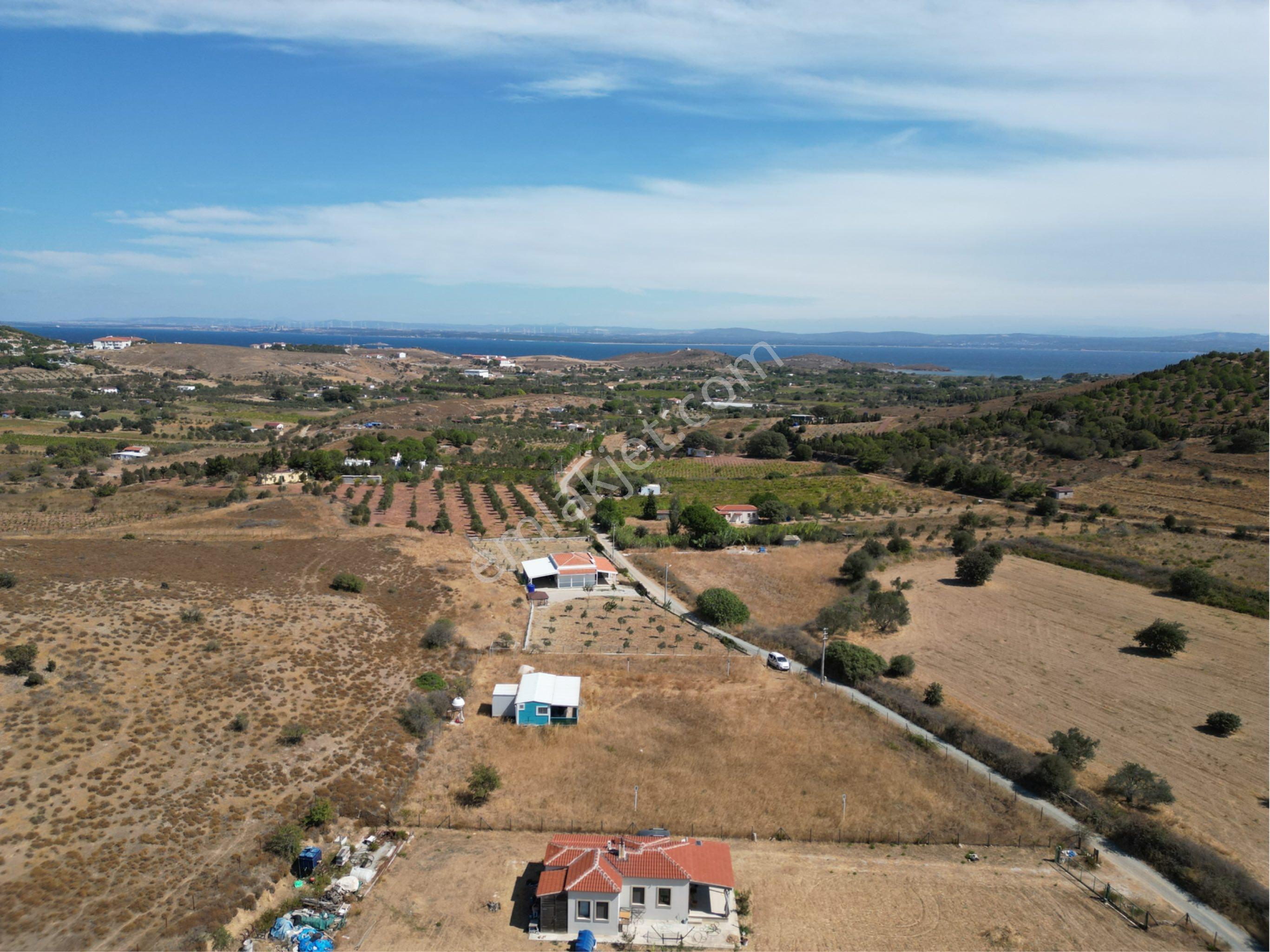 Güçlü Kardeşler Bozcaada'da 2.450 M2 Bag İçinde Yapı Mevcut - Görsel 13