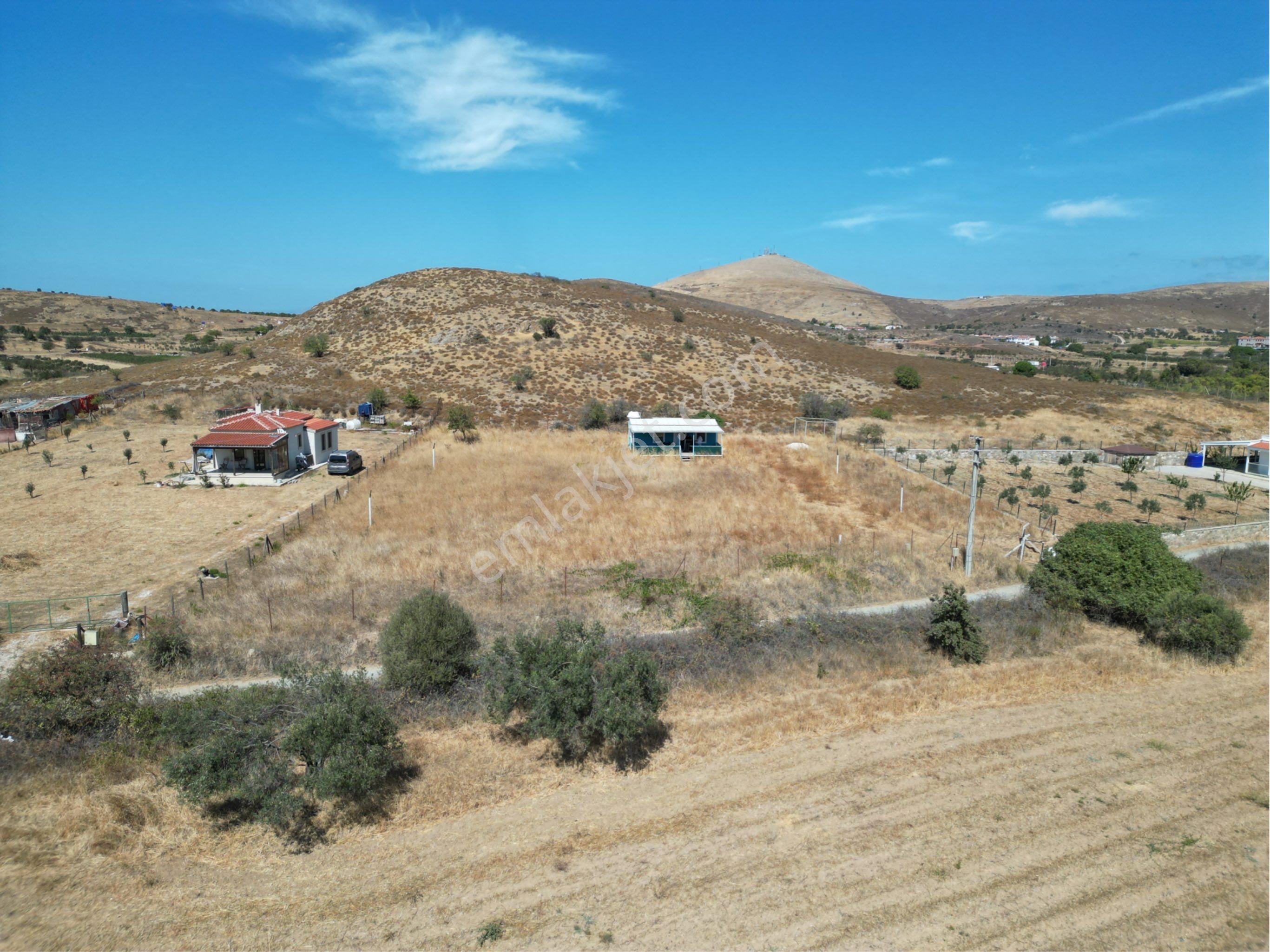 Güçlü Kardeşler Bozcaada'da 2.450 M2 Bag İçinde Yapı Mevcut - Görsel 19