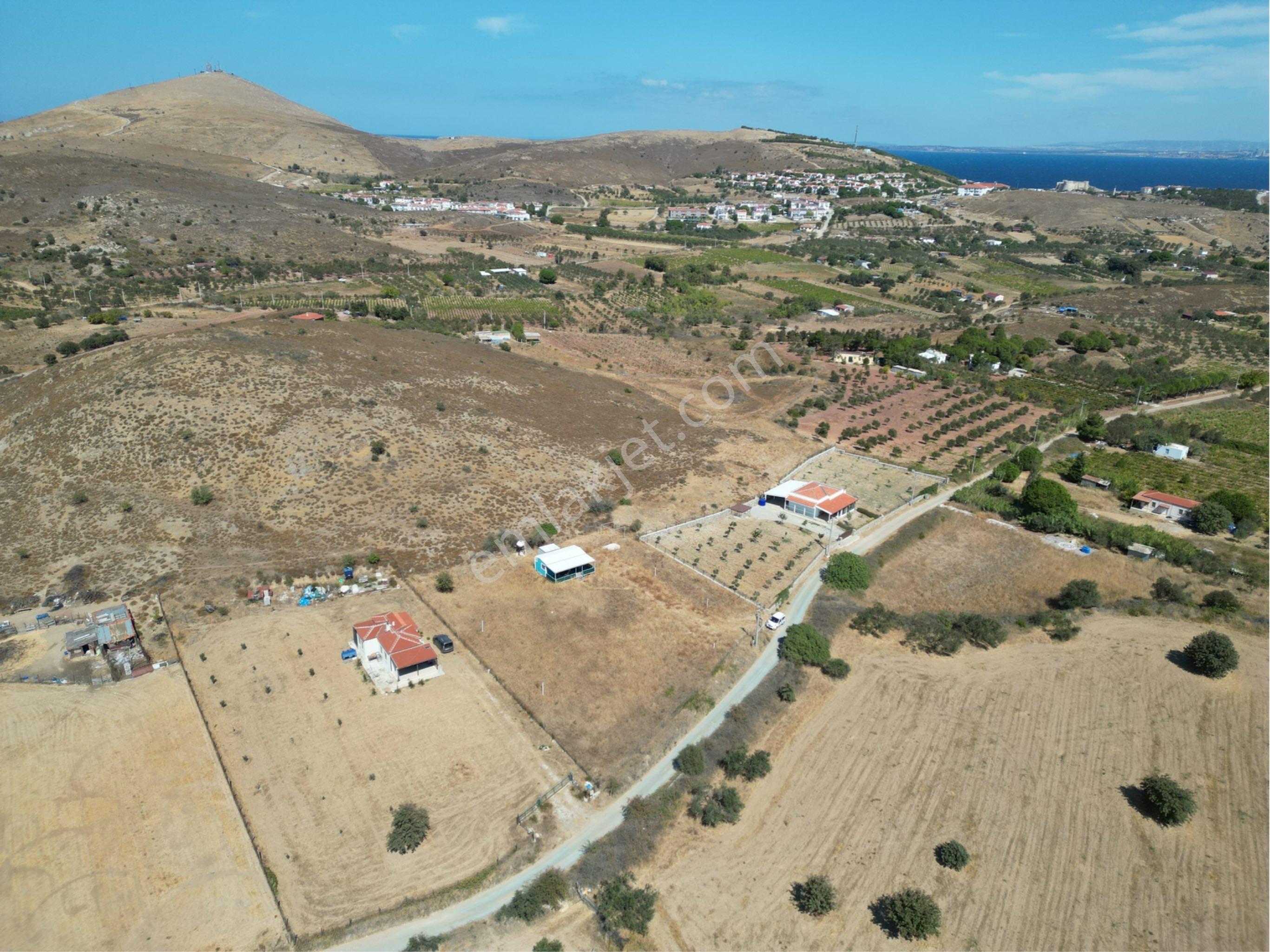 Güçlü Kardeşler Bozcaada'da 2.450 M2 Bag İçinde Yapı Mevcut - Görsel 15